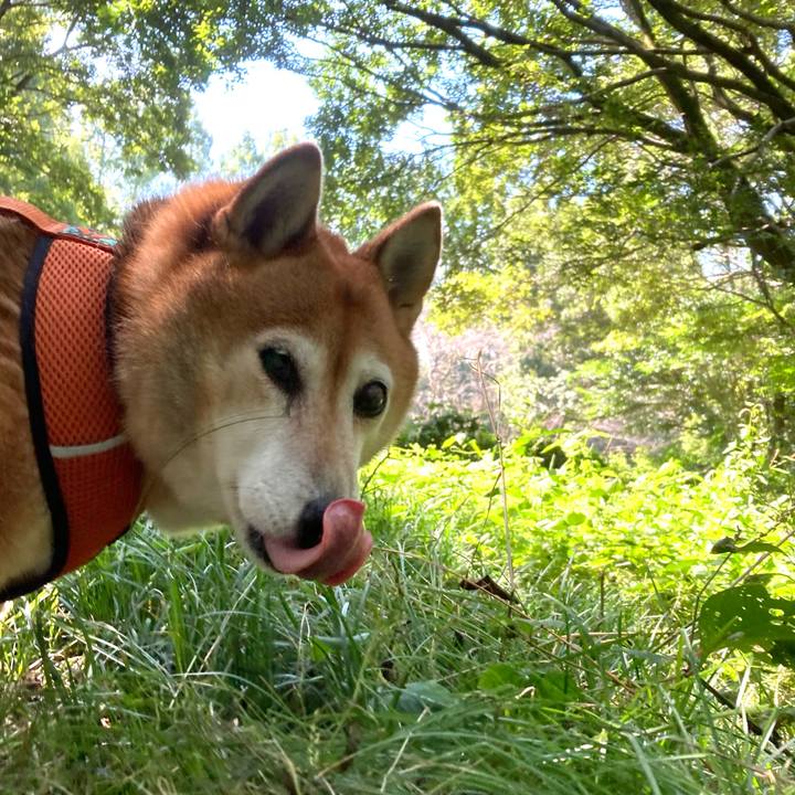 A0536386 8f70 4a51 aad8 1a7e8721259b 1664336417454