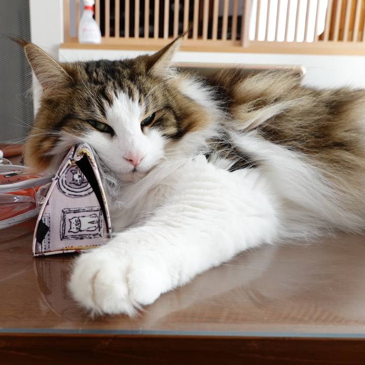 A053641c b820 4c46 a126 041414dba3e7 1588653948758