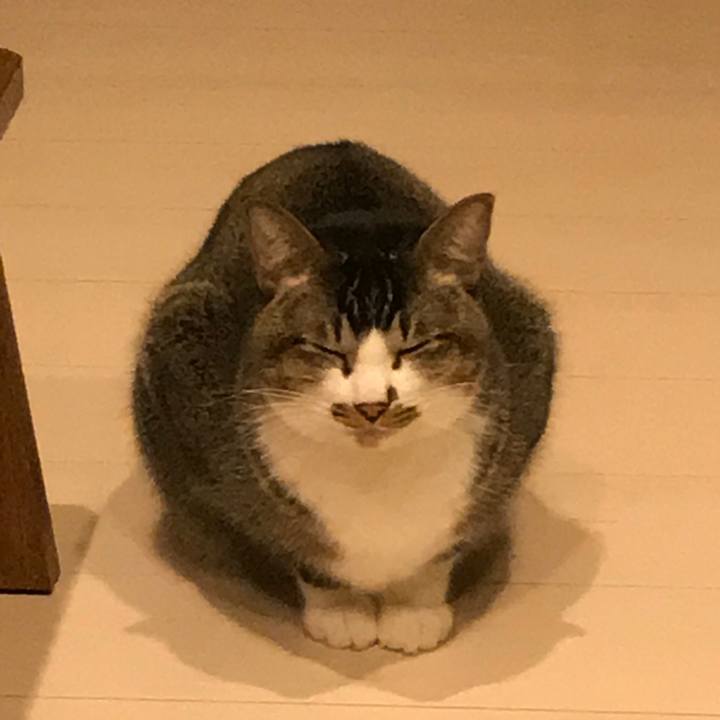 A0536b14 5729 4f68 91a7 b29dc0bcd991 1519374552294