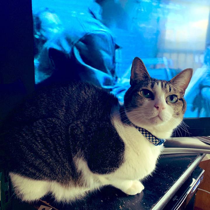 A0538092 6bd6 49b0 a1f4 71635575ec36 1548127177086