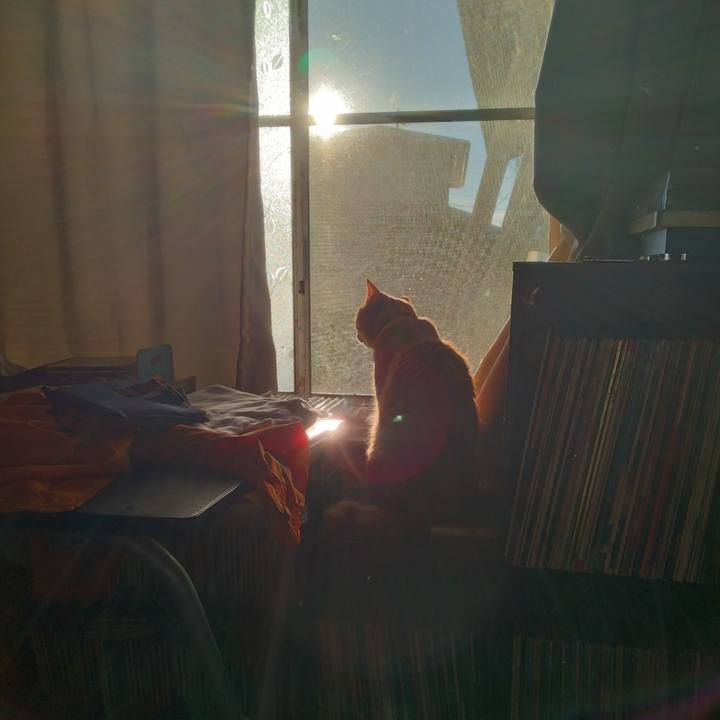 A053852b 1102 4834 af78 34c4dea52f5c 1719438931254