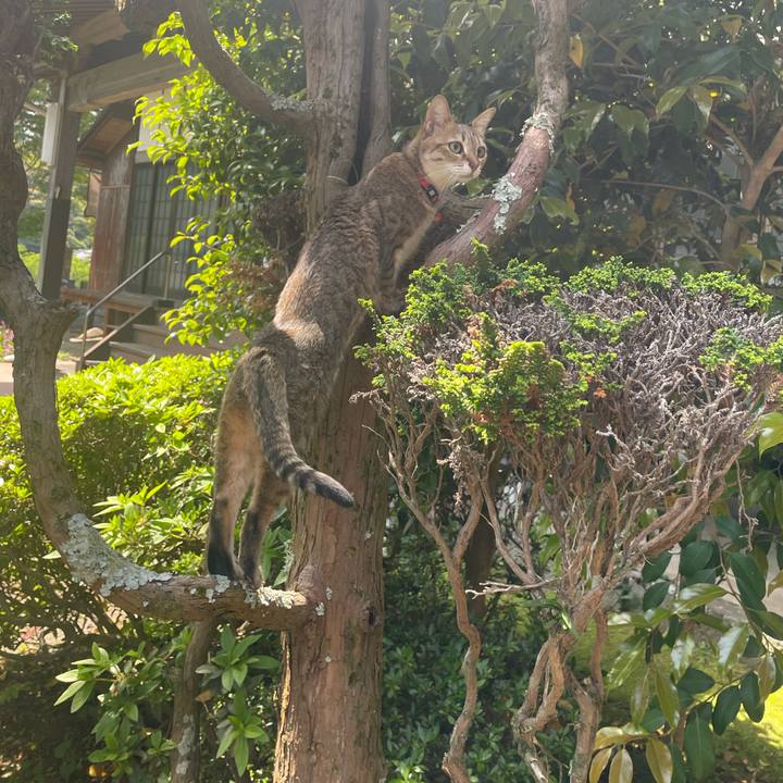 A0539057 cb6e 4930 9b5e fb0ce76946b2 1746253085307