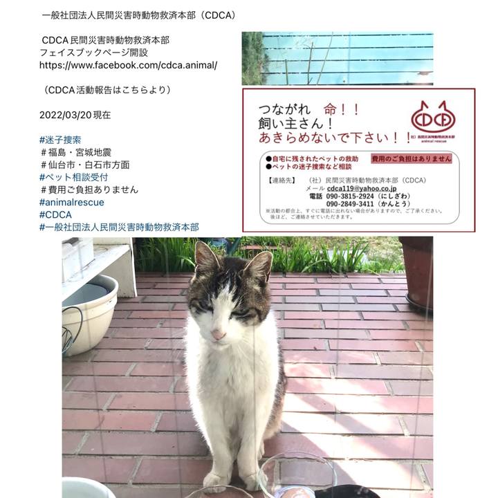 A0539446 2455 4913 8631 19ba96fd6453 1647774980968