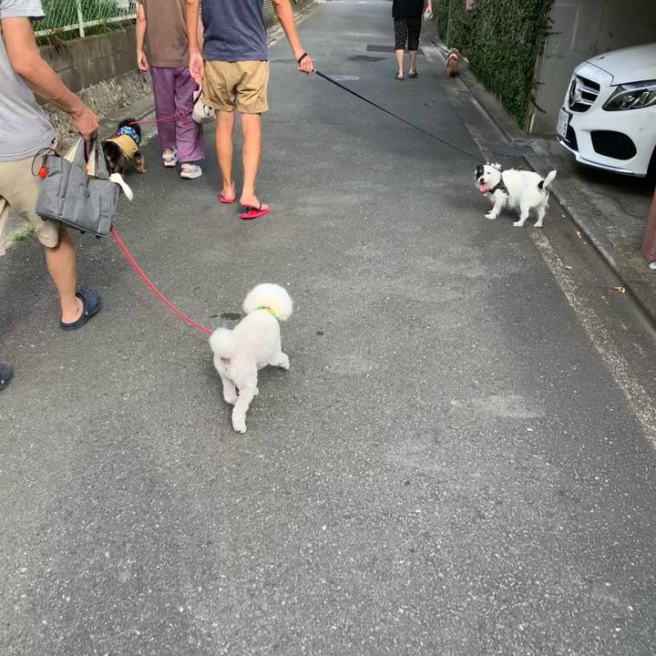 A053f34c 3529 4f3d 9269 317498352f42 1689807495366