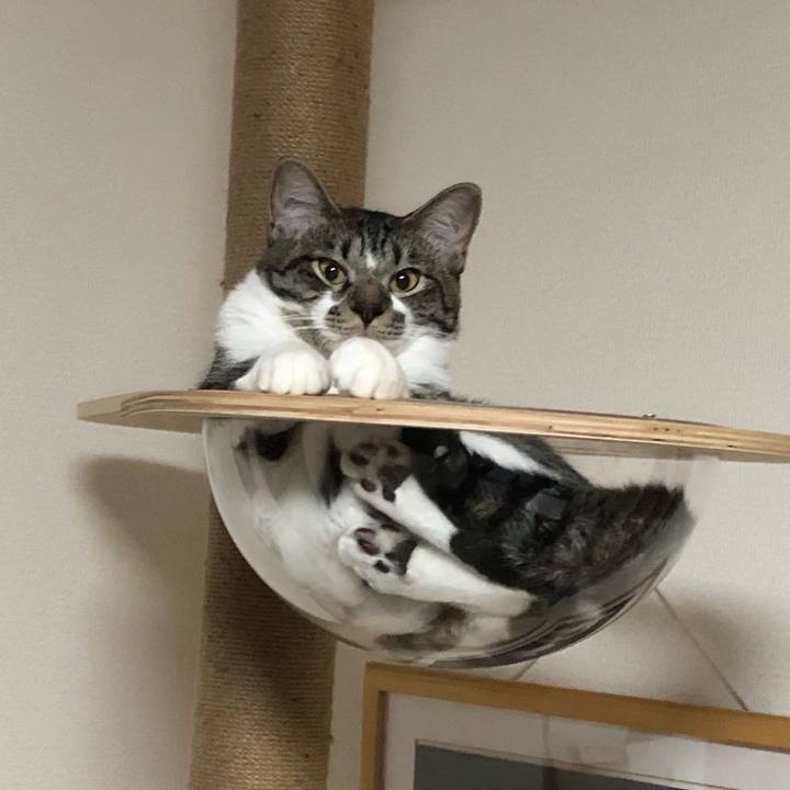 A0544899 7992 4b3f bd07 a4340a5a8673 1660557003117