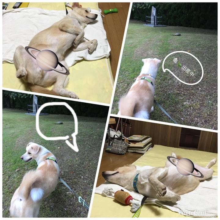 A05475de 3837 4a34 b14d 5f097c401c5a 1530279192032