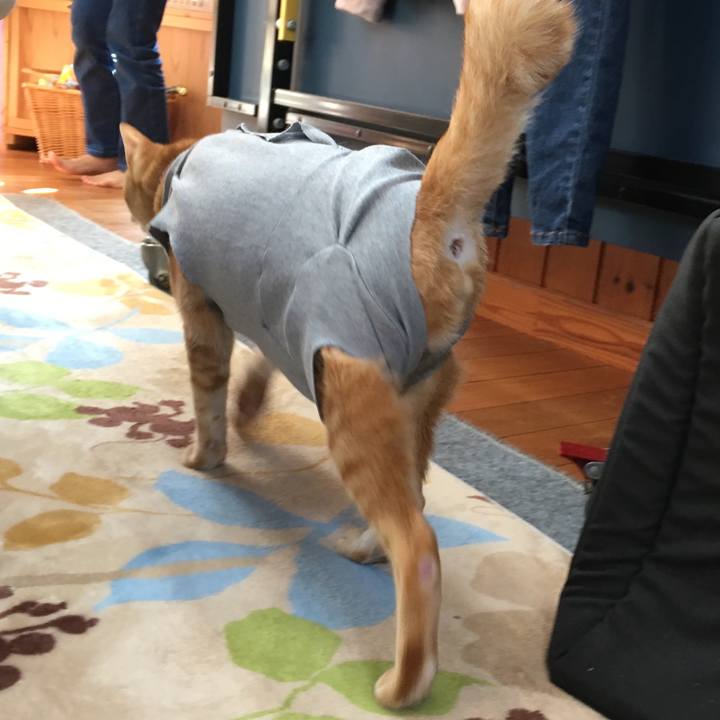 A0547a72 eedb 4e82 8cb3 47902f95aa1b 1521869881622