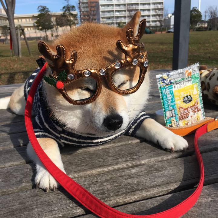 A0547e3a 0d5b 4418 a0da 0c00a73d77c2 1577172843056