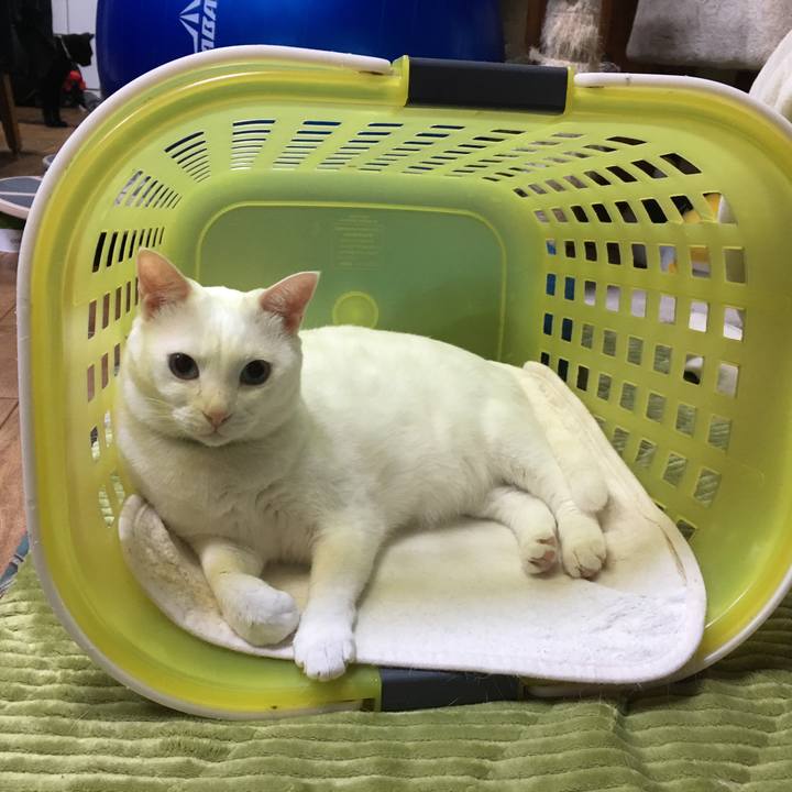 A0547eeb db9a 4fde b178 909758da3c96 1548475979158