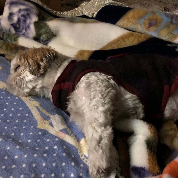 A054d6a1 e1b2 440a bb6d 38bcdb2591ca 1546637923082