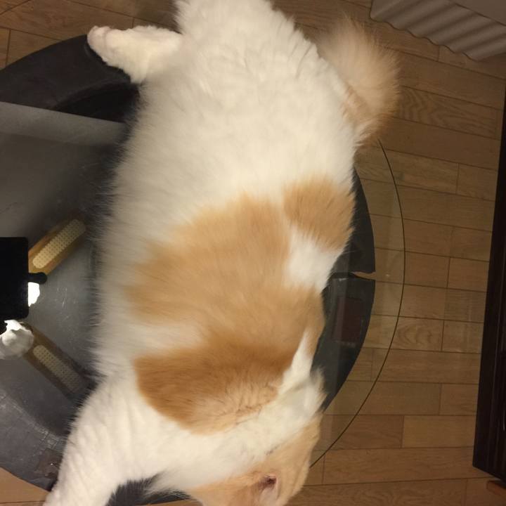 A054e458 88a0 4fcc a22b 570004652eb0 1531664634133