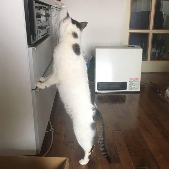 A0551ad1 061b 48f4 9f97 3fe69c0183e8 1587444912407