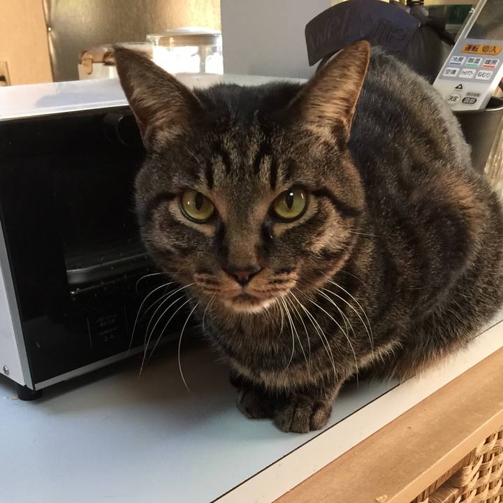 A055471c a177 450a 92b3 a4e334614bc9 1519341609142