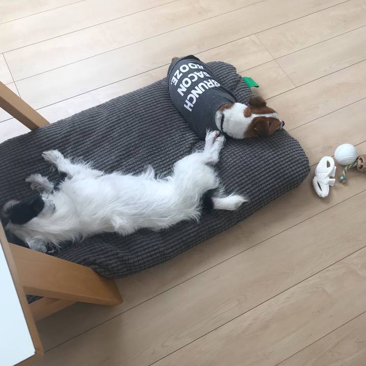 A0555159 86d4 4ee3 a74b a5220ffb38f3 1537491654497