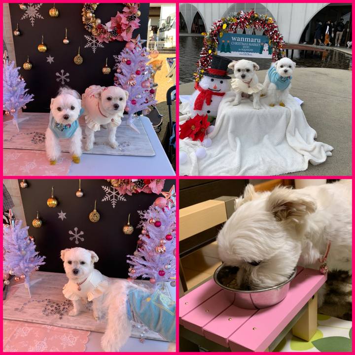 A0557ae9 d257 41c1 96c4 28dfbeed1174 1638695559923