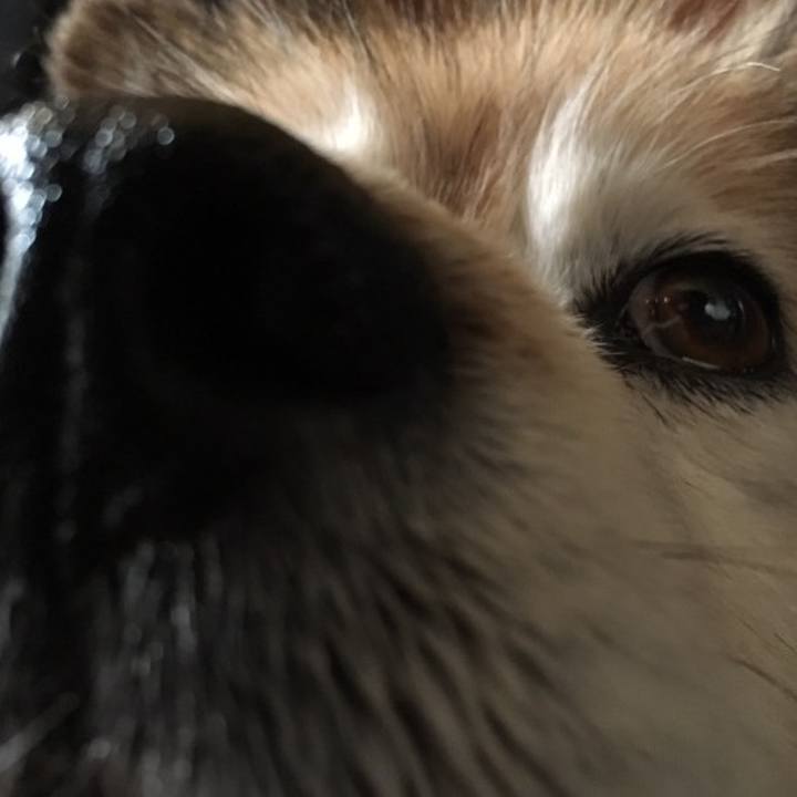 A0558914 e013 4286 9538 91310f12f33f 1620699736358