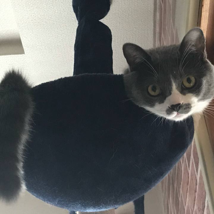 A0559110 1602 4a62 8691 320f45a1f151 1625564193313