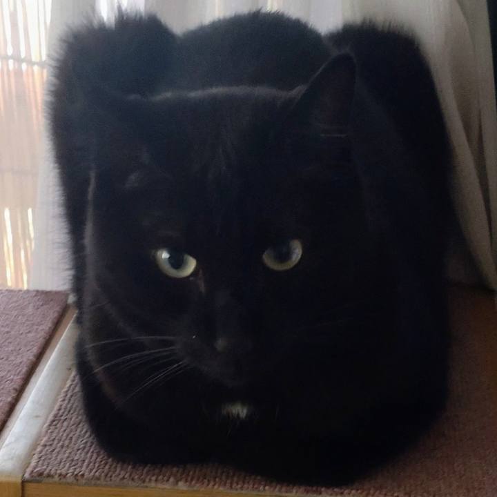 A0559439 d60d 4f43 baa0 7dae722bf4ba 1694914751875