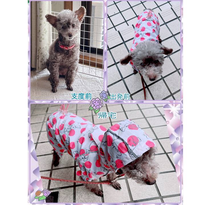 A05595e6 4b3e 42c0 ac30 f84ca3859e9c 1717897236077