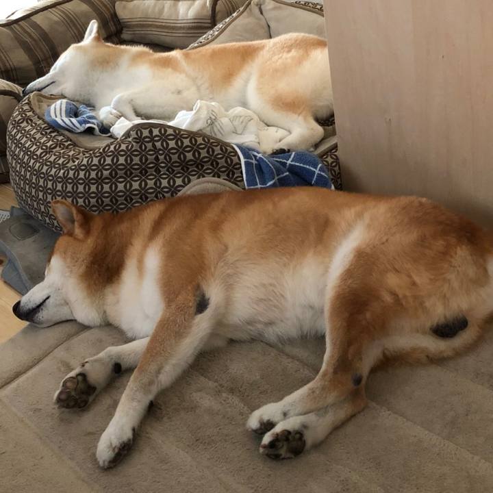 A055a10a 0719 48de b2a4 5d90e662f778 1536705258439