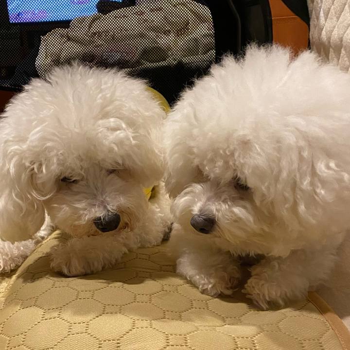 A055dbe4 ad72 4469 8767 0a6fe666b8bb 1732433012728