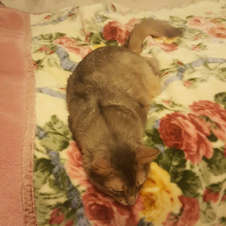 A055ff67 9fdc 4e32 8e15 03149a2ef0a8 1549795235868