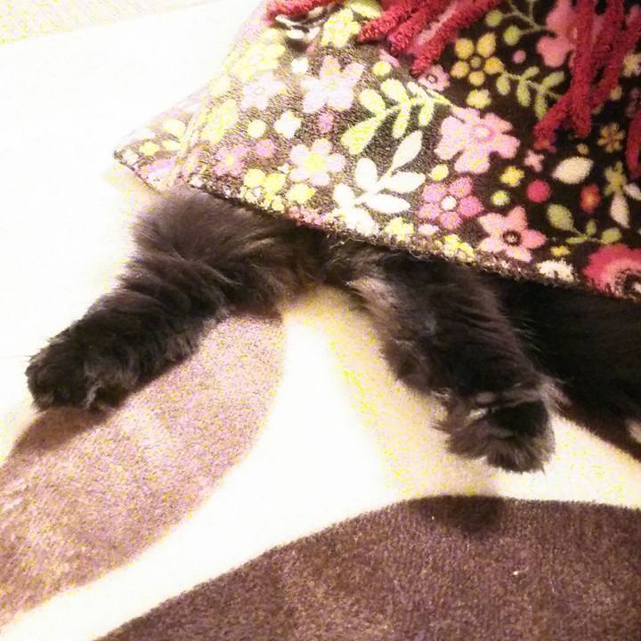 A05611e4 195d 4ac8 b3e6 fedbb44abc6d 1542201928139