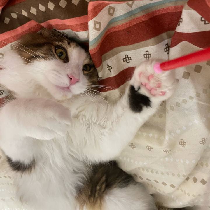 A05634a4 9a68 4df7 9c54 2e7c3957588f 1639000166043