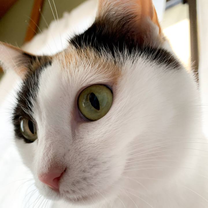 A0565c75 9e29 463c 92b7 d8af4c2bf7be 1581125006100