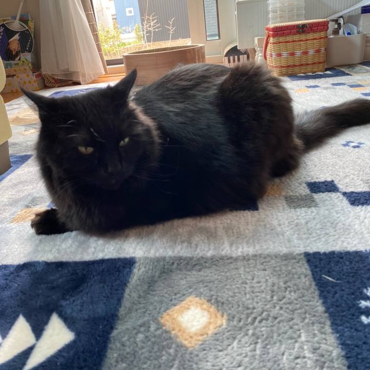 A0566385 77f8 4cbc 8027 981b05f2a6ac 1589766271619