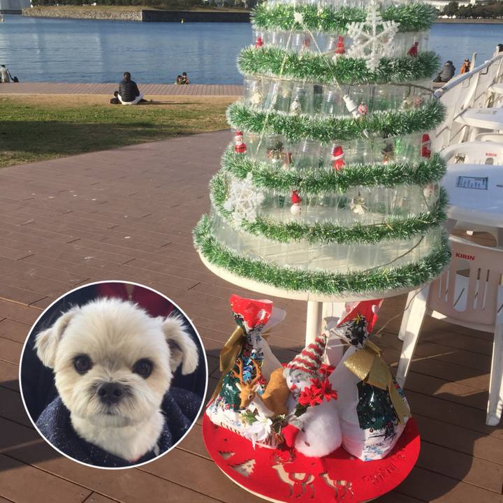 A056698c 0c27 456c 91fe a56fb4886234 1512392696904