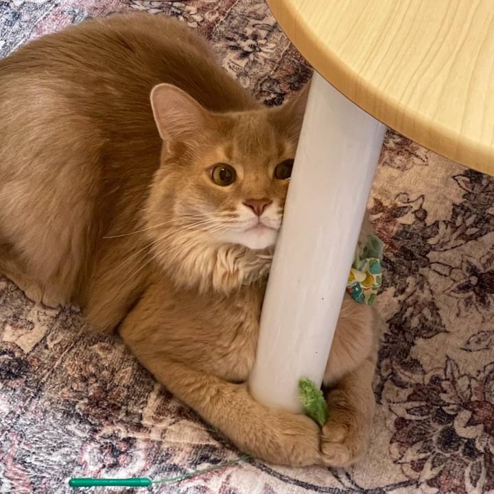 A05694a9 c348 47f1 89c4 93da8011893a 1672966389670