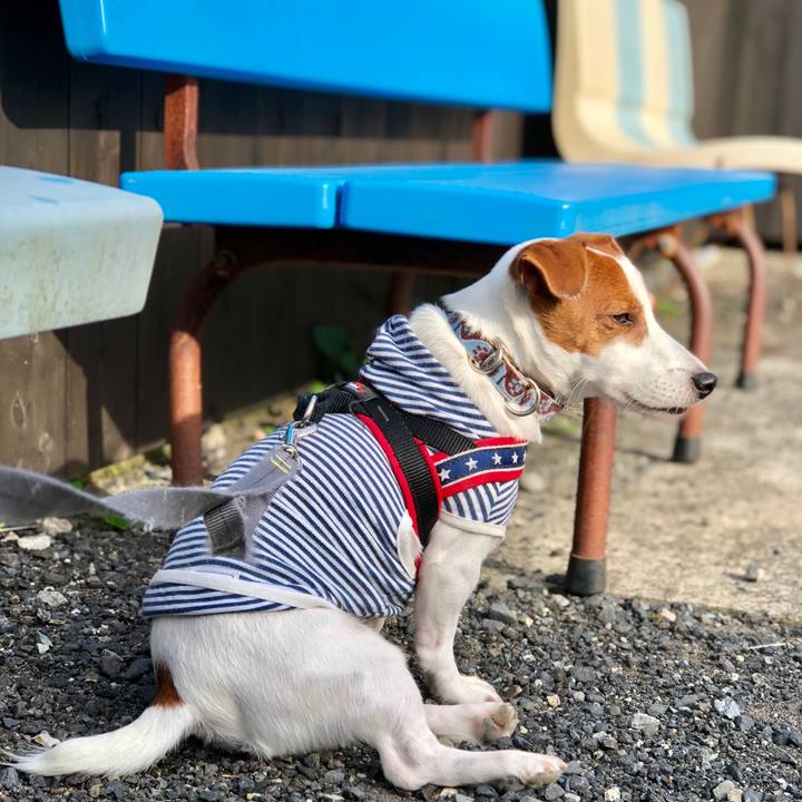 A056c0dd bd73 45f4 a971 bfd0bdd840f3 1635243204532