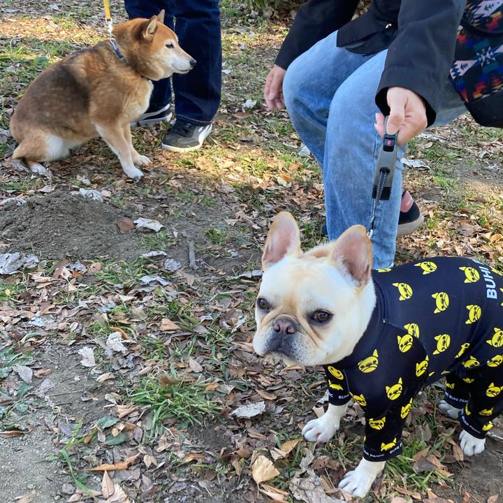 A0573e8f c4e1 4cb6 af6c 6f30d18d7c84 1644123095515