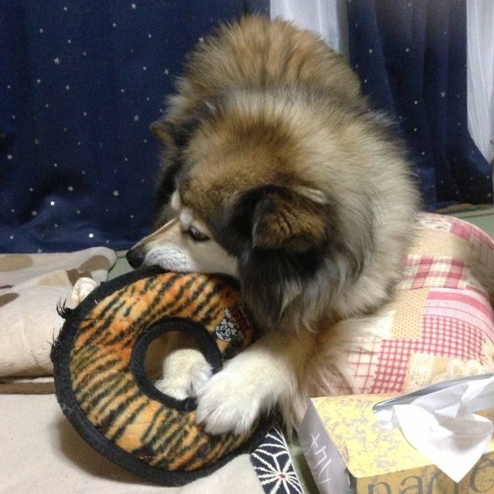 A05745ae 93a7 4e7e 9cba dbf49673a996 1560948796960