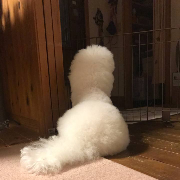 A0574666 7f19 4f4b b6f1 2eb11421b1b0 1601900006870