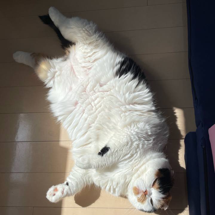 A057480b 0da5 48ac b98d 766e3c4da7cf 1649669727181