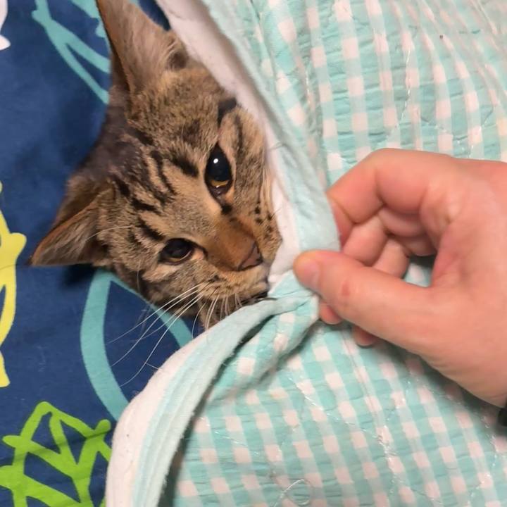 A0576167 eb38 4b3f 99e2 3dcbdcbbff51 1745066880459