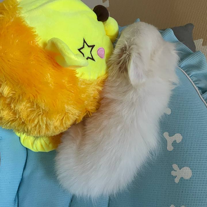 A0576c81 4696 43b8 879f 4651663260f0 1632272523190