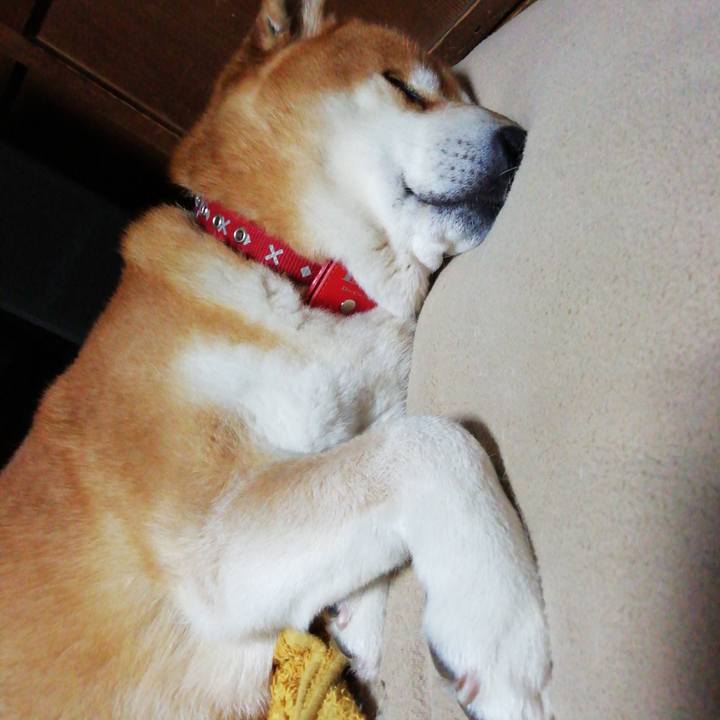 A05774ec 183f 49a3 b90f 19cb666af60d 1648996541005