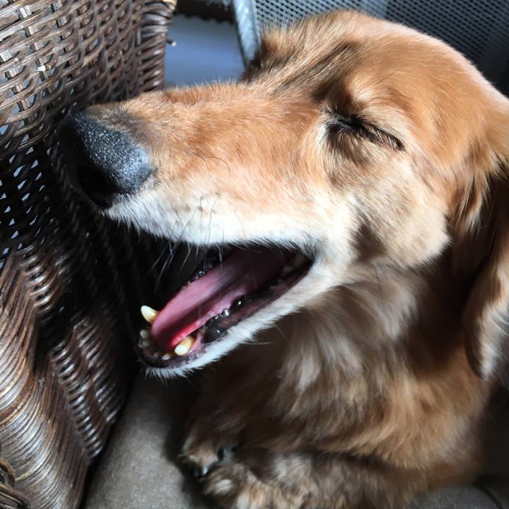 A05797b7 cd5b 4088 8050 397a44c0c158 1620655929020