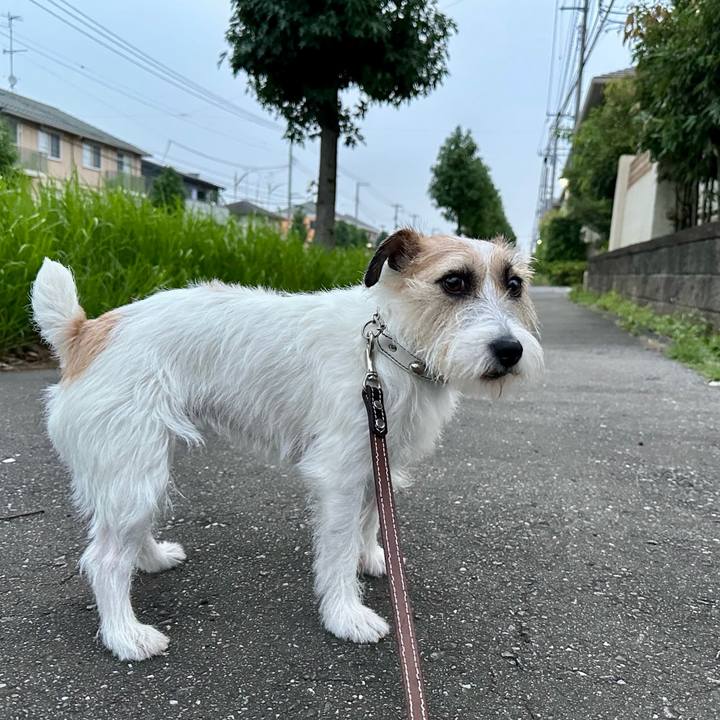 A057a625 ec06 4423 8d16 0354a2f10339 1725862137500