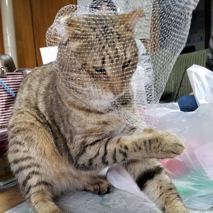 A057adce 6dd9 43df 9ce4 ded85810c611 1651556851137