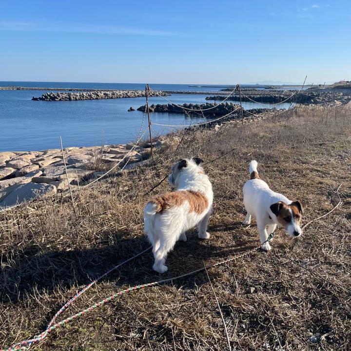 A057b06c ea7b 4fd6 bd8a 6b3d4f879f12 1679270576895