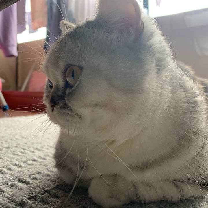 A057d970 5153 48a1 86f6 0f17a60f1752 1709337385650