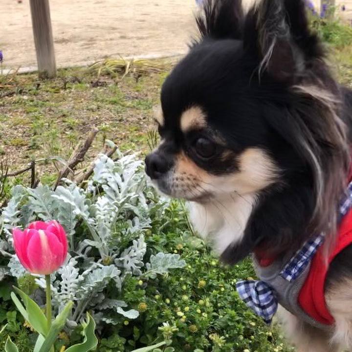 A057dbff 9f50 40d1 9e21 ec12f456949b 1585717413533