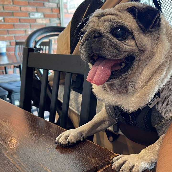 A057fc2e 055b 4460 8d46 8fc3d672594a 1763975131106