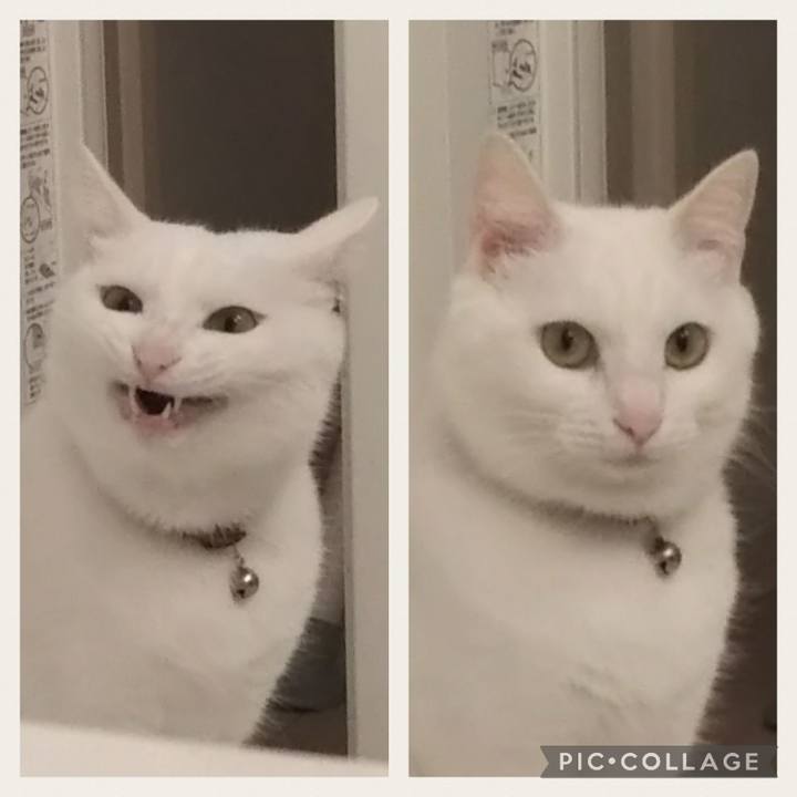 A058112f 5924 4cd1 a8df 59ed6388e7b2 1696057616351