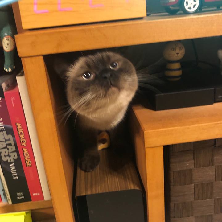 A0584a80 b261 4198 8557 6233591399d7 1628119516211