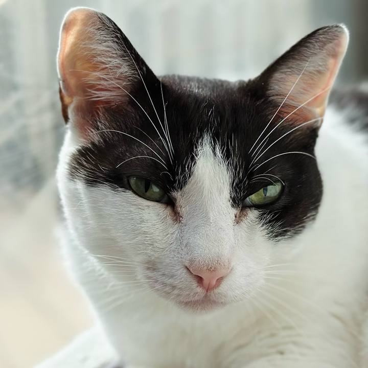 A0586ddf 21b8 4823 9bb9 4bac7f243e0b 1693269733606